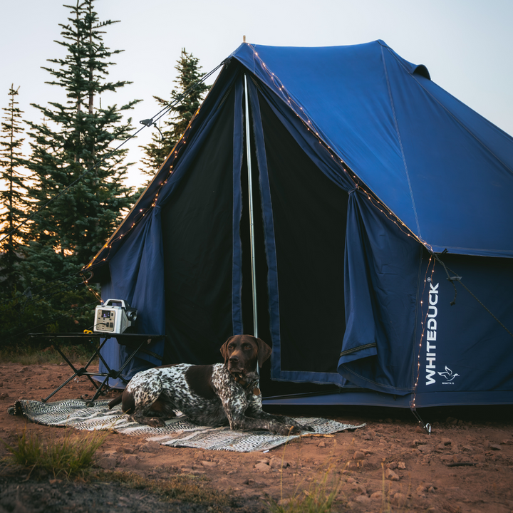 USED - 20' Regatta Bell Tent - Saphhire Blue