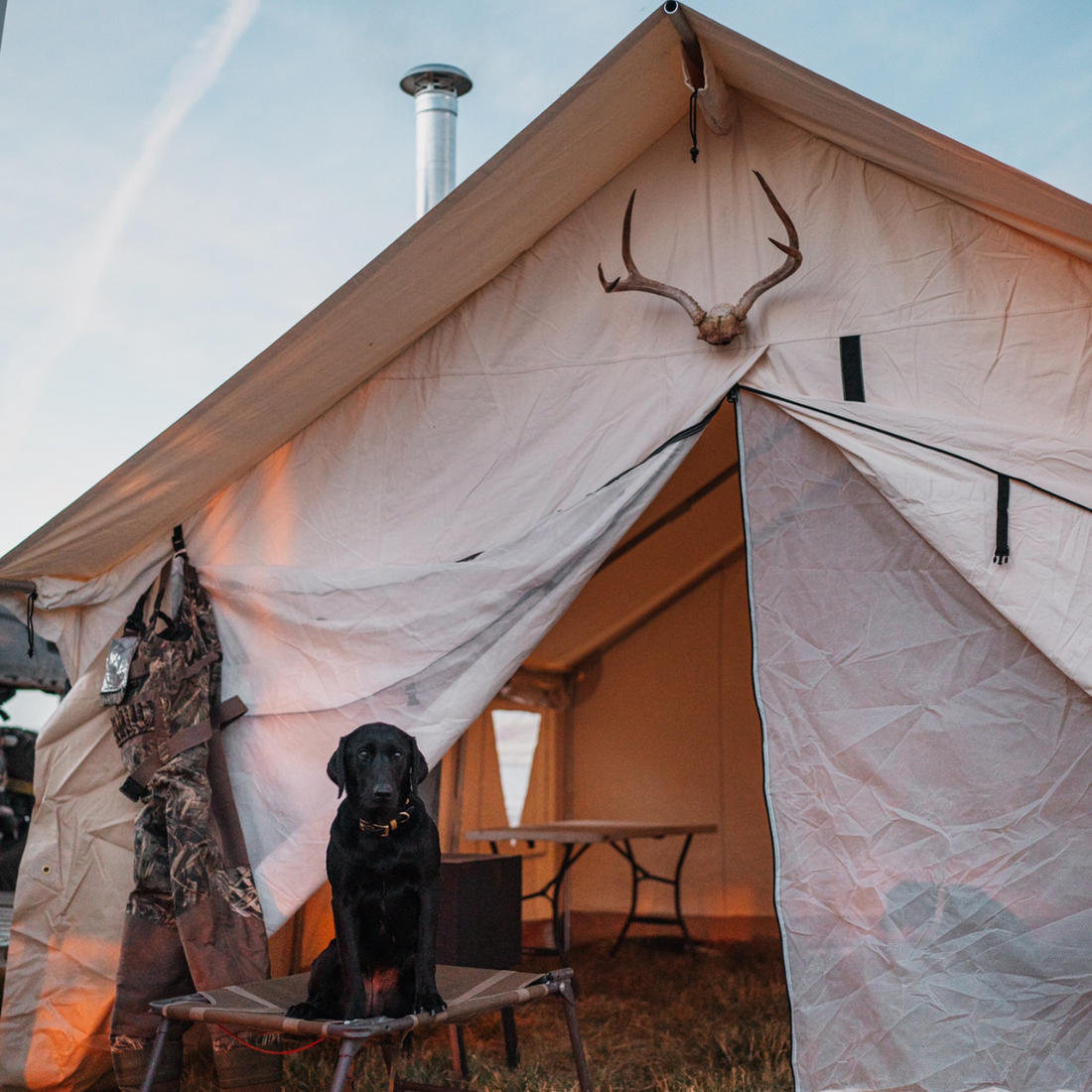 USED - 12'x14' Alpha Wall Tent