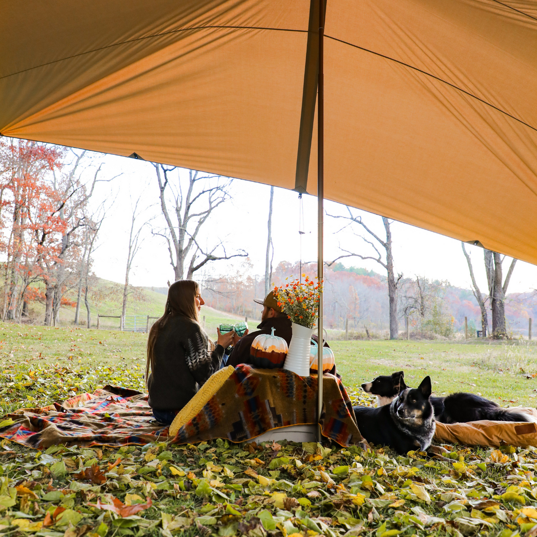 Sunshade Tarp 170