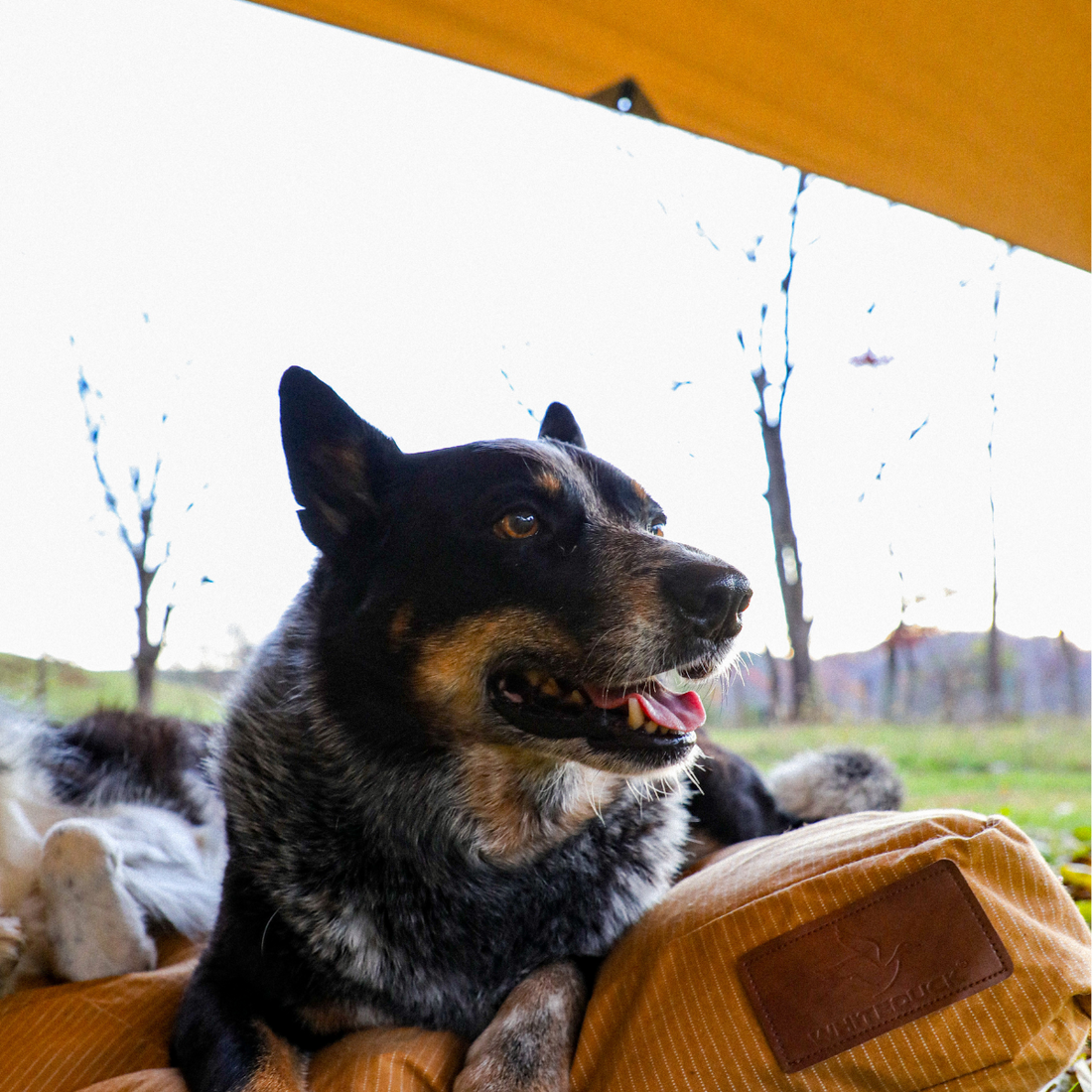 Sunshade Tarp 400