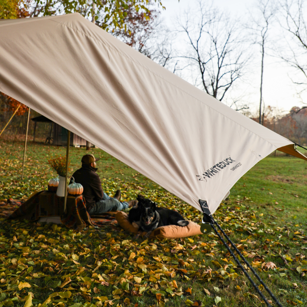 Sunshade Tarp 170