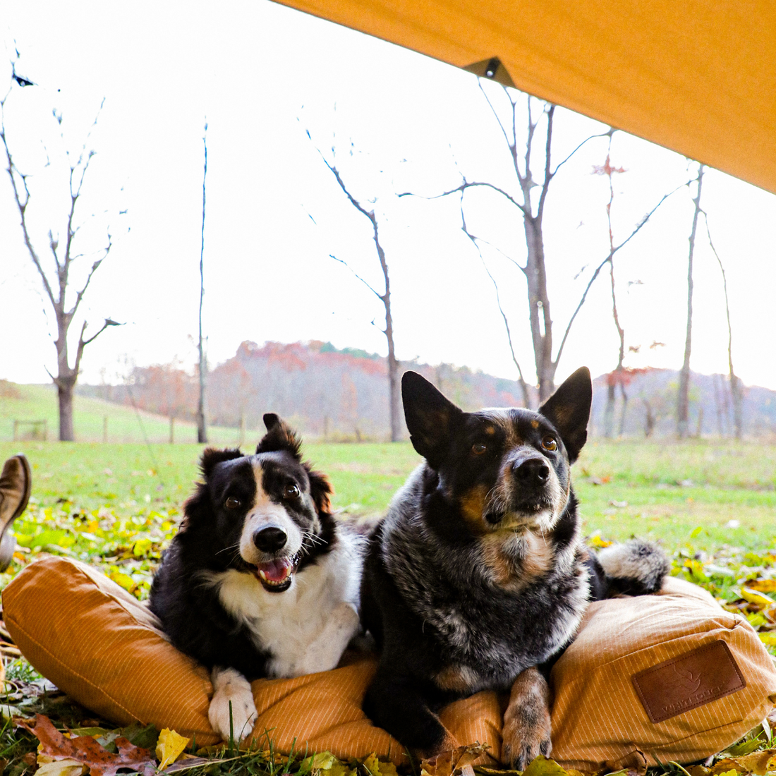 Sunshade Tarp 170