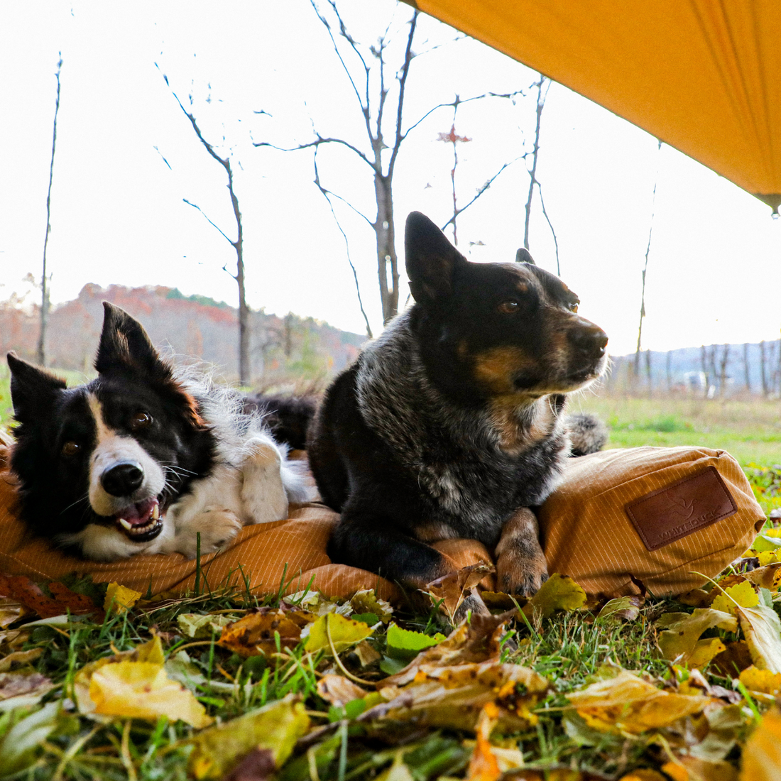 Sunshade Tarp 170